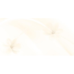 Gạch ốp 30x60 Prime Digit 05.300600.09526