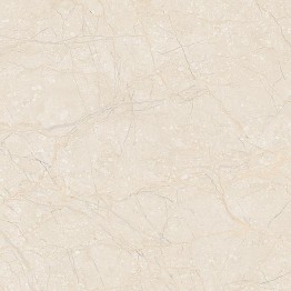 Gạch lát 50x50 Prime Digit 14.500500.09690