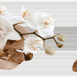 Gạch trang trí 30x60 Prime Evolution 05.300600.08453